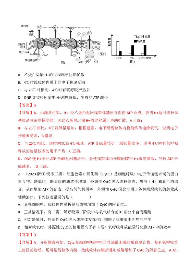 专题04细胞呼吸和光合作用（解析版）_2024年新高考资料_3.2024专项复习_备战2024年高考生物一轮复习重难点突破讲解与训练（新教材）