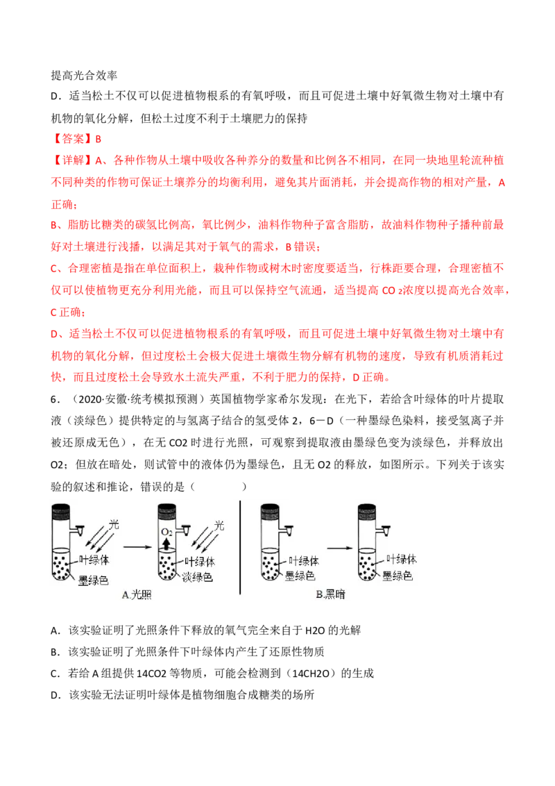 专题04细胞呼吸和光合作用（解析版）_2024年新高考资料_3.2024专项复习_备战2024年高考生物一轮复习重难点突破讲解与训练（新教材）