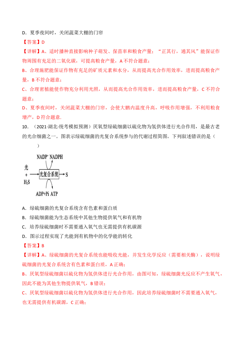 专题04细胞呼吸和光合作用（解析版）_2024年新高考资料_3.2024专项复习_备战2024年高考生物一轮复习重难点突破讲解与训练（新教材）