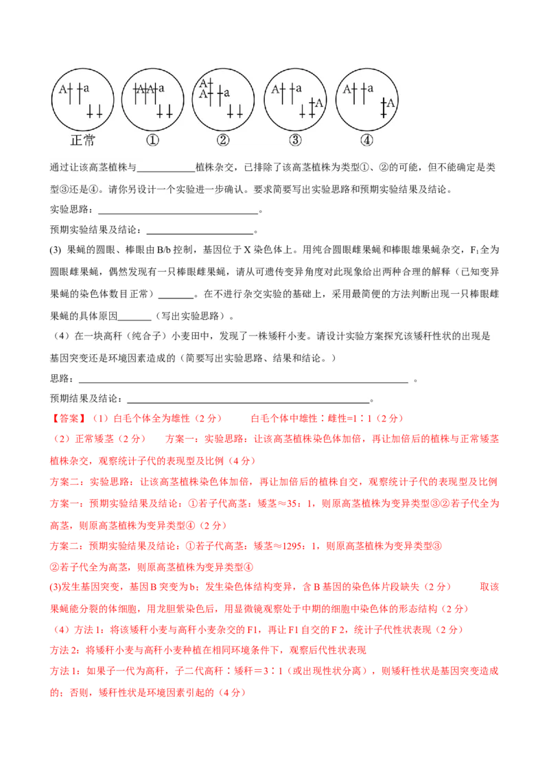 专题05实验设计类（遗传）（解析版）_2024年新高考资料_2.2024二轮复习_备战2024年高考生物实验专项突破3143686_专题05实验设计类（遗传）-备战2024年高考生物实验专项突破