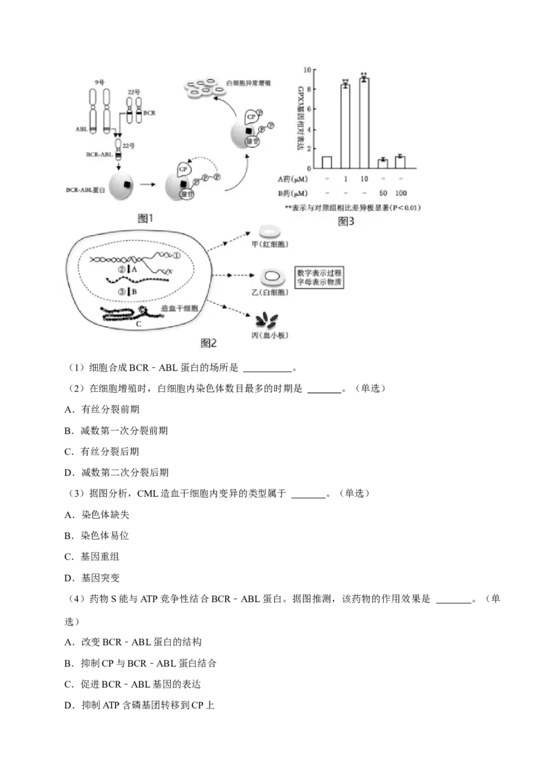 专题04遗传信息的传递与表达（原卷版）_2024年新高考资料_3.2024专项复习_2024年高考生物热点&middot;重点&middot;难点专练（上海专用）