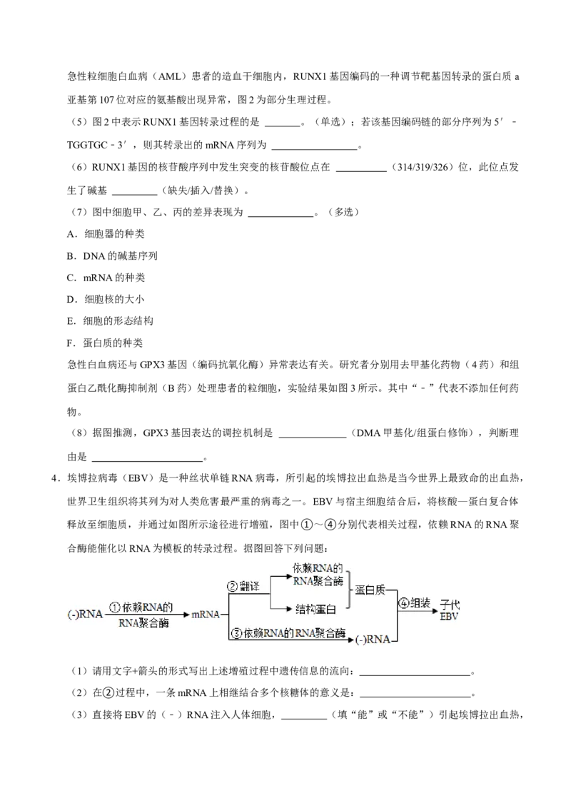 专题04遗传信息的传递与表达（原卷版）_2024年新高考资料_3.2024专项复习_2024年高考生物热点&middot;重点&middot;难点专练（上海专用）