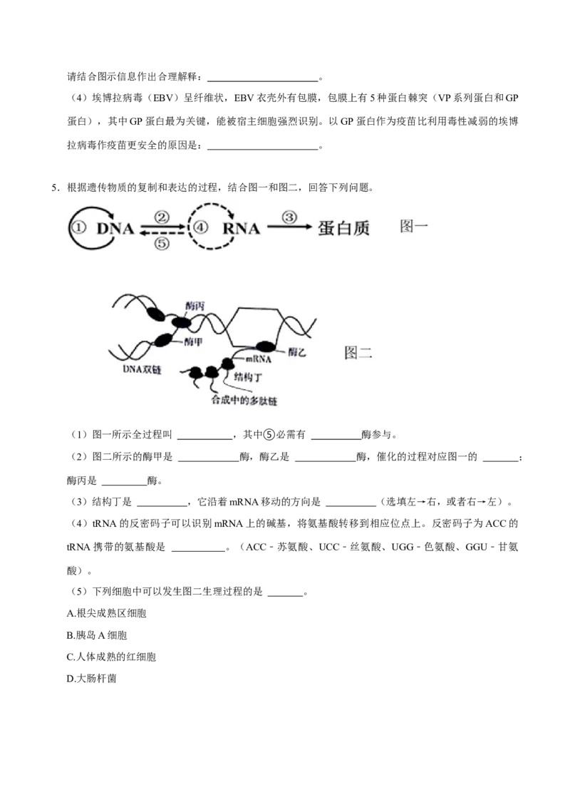 专题04遗传信息的传递与表达（原卷版）_2024年新高考资料_3.2024专项复习_2024年高考生物热点&middot;重点&middot;难点专练（上海专用）