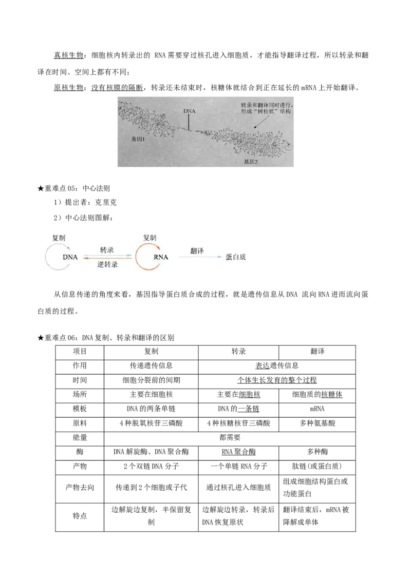 专题04遗传信息的传递与表达（原卷版）_2024年新高考资料_3.2024专项复习_2024年高考生物热点&middot;重点&middot;难点专练（上海专用）