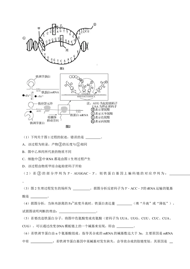专题04遗传信息的传递与表达（原卷版）_2024年新高考资料_3.2024专项复习_2024年高考生物热点&middot;重点&middot;难点专练（上海专用）