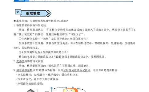 专题04遗传信息的传递与表达（原卷版）_2024年新高考资料_3.2024专项复习_2024年高考生物热点&middot;重点&middot;难点专练（上海专用）