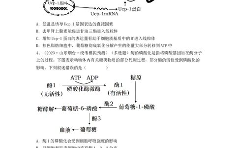专题25体液调节（精练）（原卷版）_2024年新高考资料_1.2024一轮复习_备战2024年高考生物一轮复习串讲精练（新高考专用）