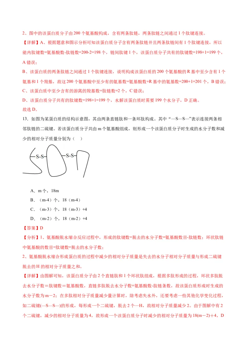 专题4蛋白质和核酸（解析版)_2024年新高考资料_3.2024专项复习_备战2024年高考生物一轮复习重难点专项突破_专题04蛋白质和核酸-备战2024年高考生物一轮复习重难点专项突破