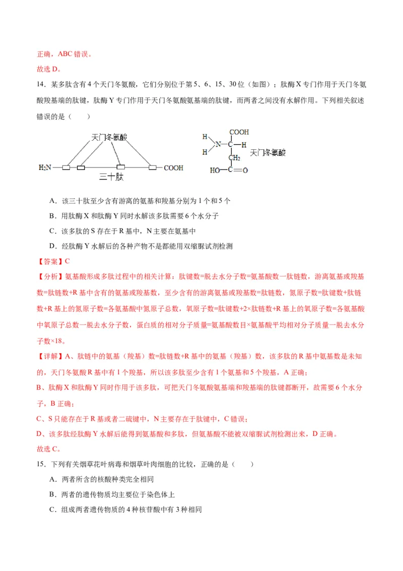专题4蛋白质和核酸（解析版)_2024年新高考资料_3.2024专项复习_备战2024年高考生物一轮复习重难点专项突破_专题04蛋白质和核酸-备战2024年高考生物一轮复习重难点专项突破