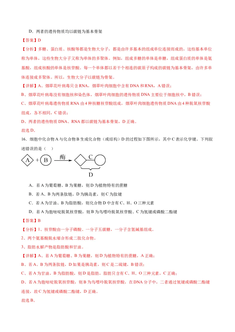专题4蛋白质和核酸（解析版)_2024年新高考资料_3.2024专项复习_备战2024年高考生物一轮复习重难点专项突破_专题04蛋白质和核酸-备战2024年高考生物一轮复习重难点专项突破