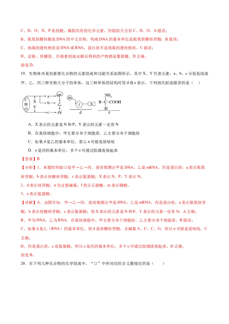 专题4蛋白质和核酸（解析版)_2024年新高考资料_3.2024专项复习_备战2024年高考生物一轮复习重难点专项突破_专题04蛋白质和核酸-备战2024年高考生物一轮复习重难点专项突破