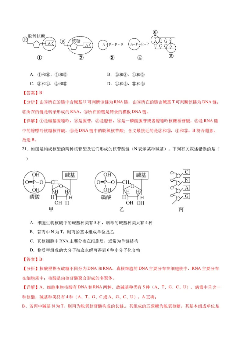 专题4蛋白质和核酸（解析版)_2024年新高考资料_3.2024专项复习_备战2024年高考生物一轮复习重难点专项突破_专题04蛋白质和核酸-备战2024年高考生物一轮复习重难点专项突破
