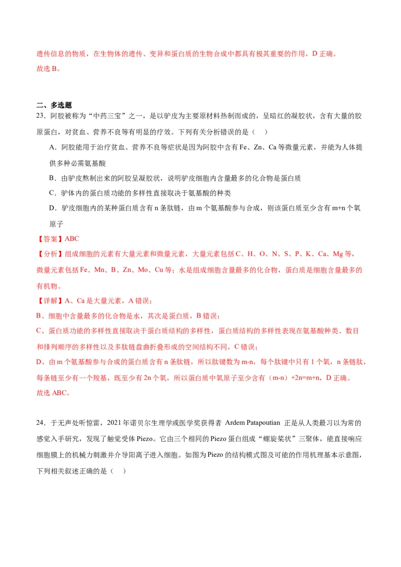 专题4蛋白质和核酸（解析版)_2024年新高考资料_3.2024专项复习_备战2024年高考生物一轮复习重难点专项突破_专题04蛋白质和核酸-备战2024年高考生物一轮复习重难点专项突破