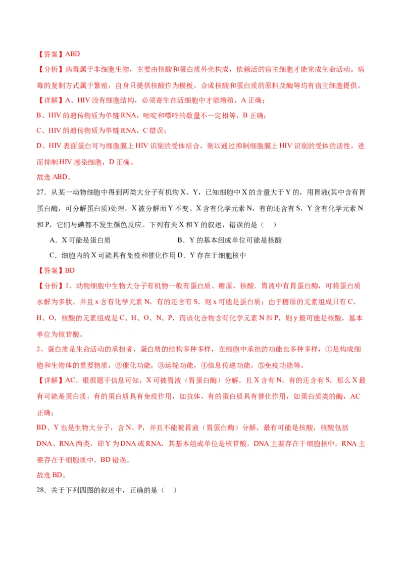 专题4蛋白质和核酸（解析版)_2024年新高考资料_3.2024专项复习_备战2024年高考生物一轮复习重难点专项突破_专题04蛋白质和核酸-备战2024年高考生物一轮复习重难点专项突破