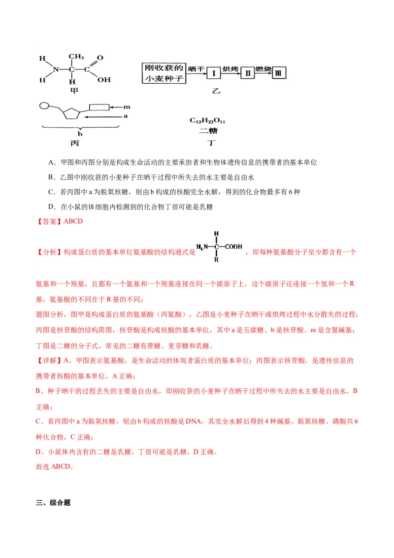 专题4蛋白质和核酸（解析版)_2024年新高考资料_3.2024专项复习_备战2024年高考生物一轮复习重难点专项突破_专题04蛋白质和核酸-备战2024年高考生物一轮复习重难点专项突破