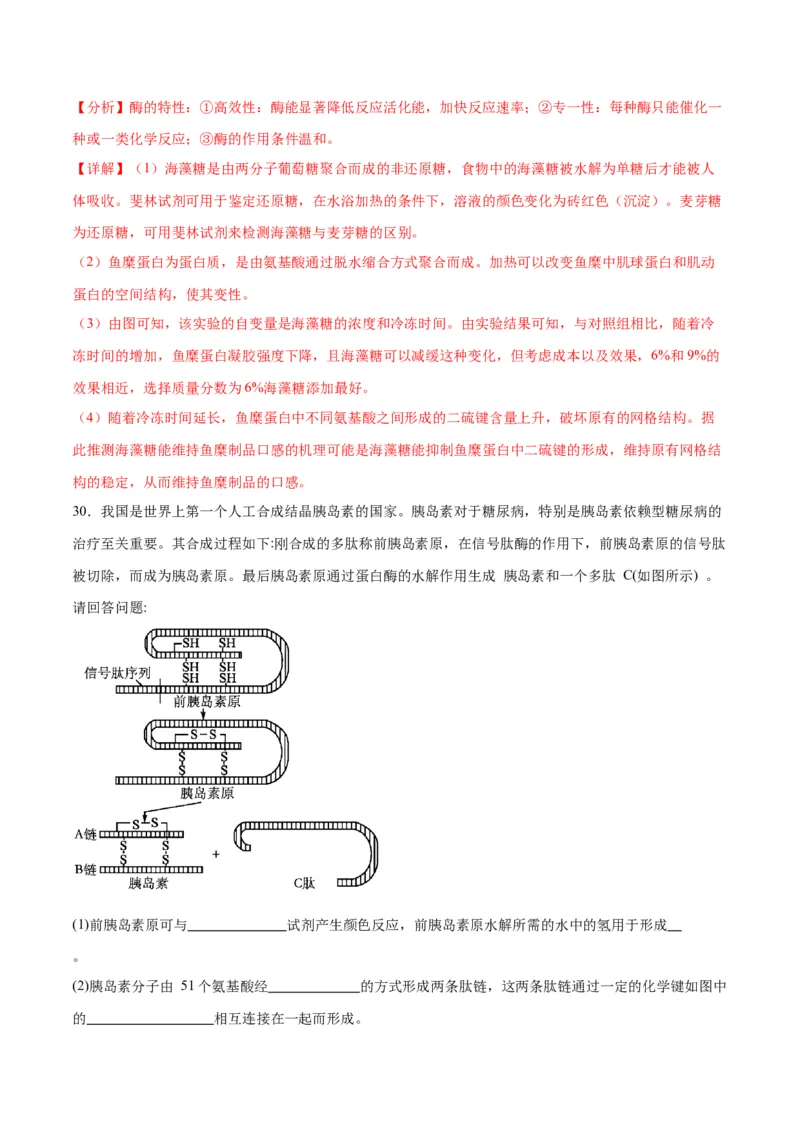 专题4蛋白质和核酸（解析版)_2024年新高考资料_3.2024专项复习_备战2024年高考生物一轮复习重难点专项突破_专题04蛋白质和核酸-备战2024年高考生物一轮复习重难点专项突破