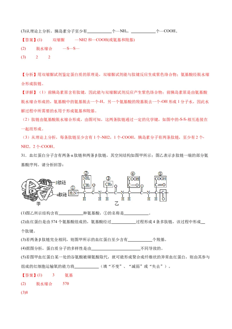 专题4蛋白质和核酸（解析版)_2024年新高考资料_3.2024专项复习_备战2024年高考生物一轮复习重难点专项突破_专题04蛋白质和核酸-备战2024年高考生物一轮复习重难点专项突破