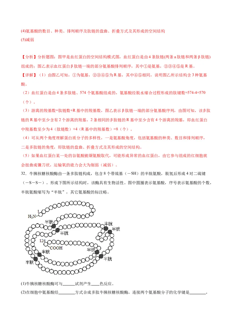 专题4蛋白质和核酸（解析版)_2024年新高考资料_3.2024专项复习_备战2024年高考生物一轮复习重难点专项突破_专题04蛋白质和核酸-备战2024年高考生物一轮复习重难点专项突破