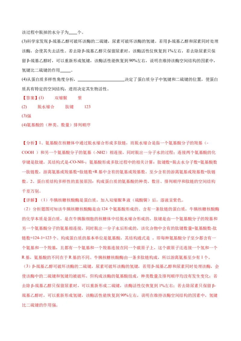 专题4蛋白质和核酸（解析版)_2024年新高考资料_3.2024专项复习_备战2024年高考生物一轮复习重难点专项突破_专题04蛋白质和核酸-备战2024年高考生物一轮复习重难点专项突破