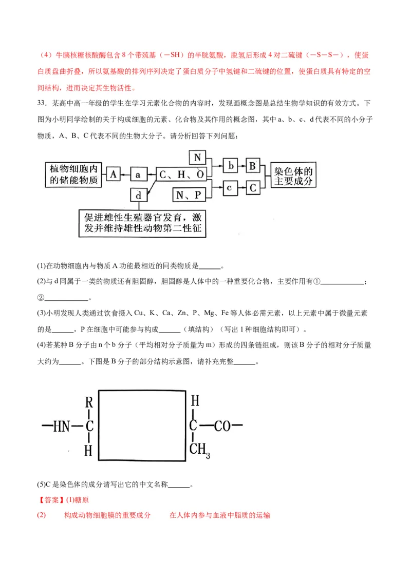 专题4蛋白质和核酸（解析版)_2024年新高考资料_3.2024专项复习_备战2024年高考生物一轮复习重难点专项突破_专题04蛋白质和核酸-备战2024年高考生物一轮复习重难点专项突破