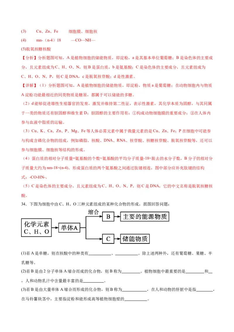专题4蛋白质和核酸（解析版)_2024年新高考资料_3.2024专项复习_备战2024年高考生物一轮复习重难点专项突破_专题04蛋白质和核酸-备战2024年高考生物一轮复习重难点专项突破