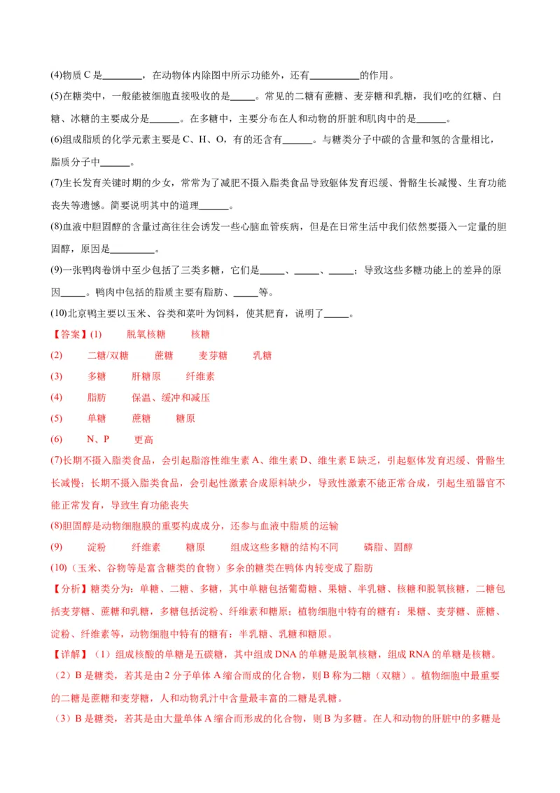 专题4蛋白质和核酸（解析版)_2024年新高考资料_3.2024专项复习_备战2024年高考生物一轮复习重难点专项突破_专题04蛋白质和核酸-备战2024年高考生物一轮复习重难点专项突破