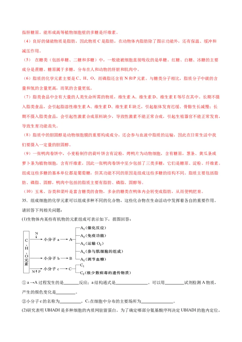 专题4蛋白质和核酸（解析版)_2024年新高考资料_3.2024专项复习_备战2024年高考生物一轮复习重难点专项突破_专题04蛋白质和核酸-备战2024年高考生物一轮复习重难点专项突破