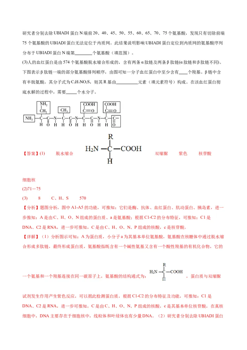 专题4蛋白质和核酸（解析版)_2024年新高考资料_3.2024专项复习_备战2024年高考生物一轮复习重难点专项突破_专题04蛋白质和核酸-备战2024年高考生物一轮复习重难点专项突破