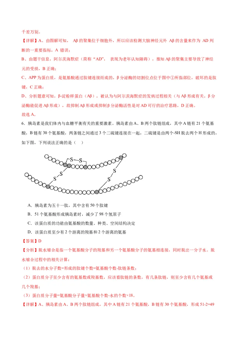 专题4蛋白质和核酸（解析版)_2024年新高考资料_3.2024专项复习_备战2024年高考生物一轮复习重难点专项突破_专题04蛋白质和核酸-备战2024年高考生物一轮复习重难点专项突破