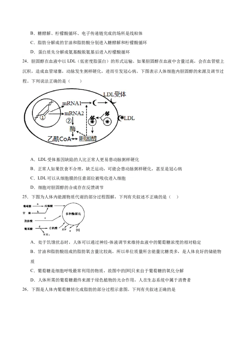 专题11细胞代谢综合分析（原卷版)_2024年新高考资料_3.2024专项复习_备战2024年高考生物一轮复习重难点专项突破_专题11细胞代谢综合分析