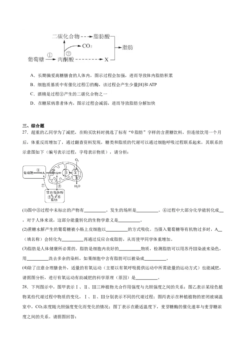 专题11细胞代谢综合分析（原卷版)_2024年新高考资料_3.2024专项复习_备战2024年高考生物一轮复习重难点专项突破_专题11细胞代谢综合分析