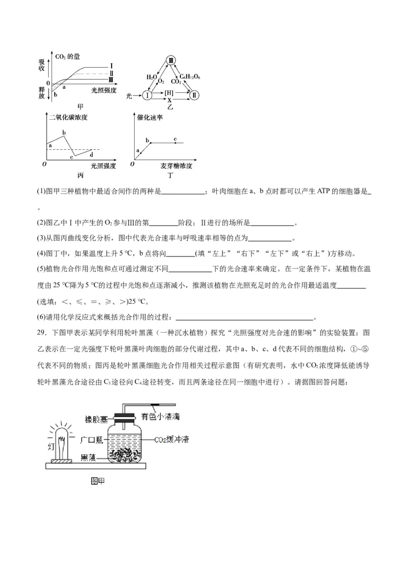 专题11细胞代谢综合分析（原卷版)_2024年新高考资料_3.2024专项复习_备战2024年高考生物一轮复习重难点专项突破_专题11细胞代谢综合分析