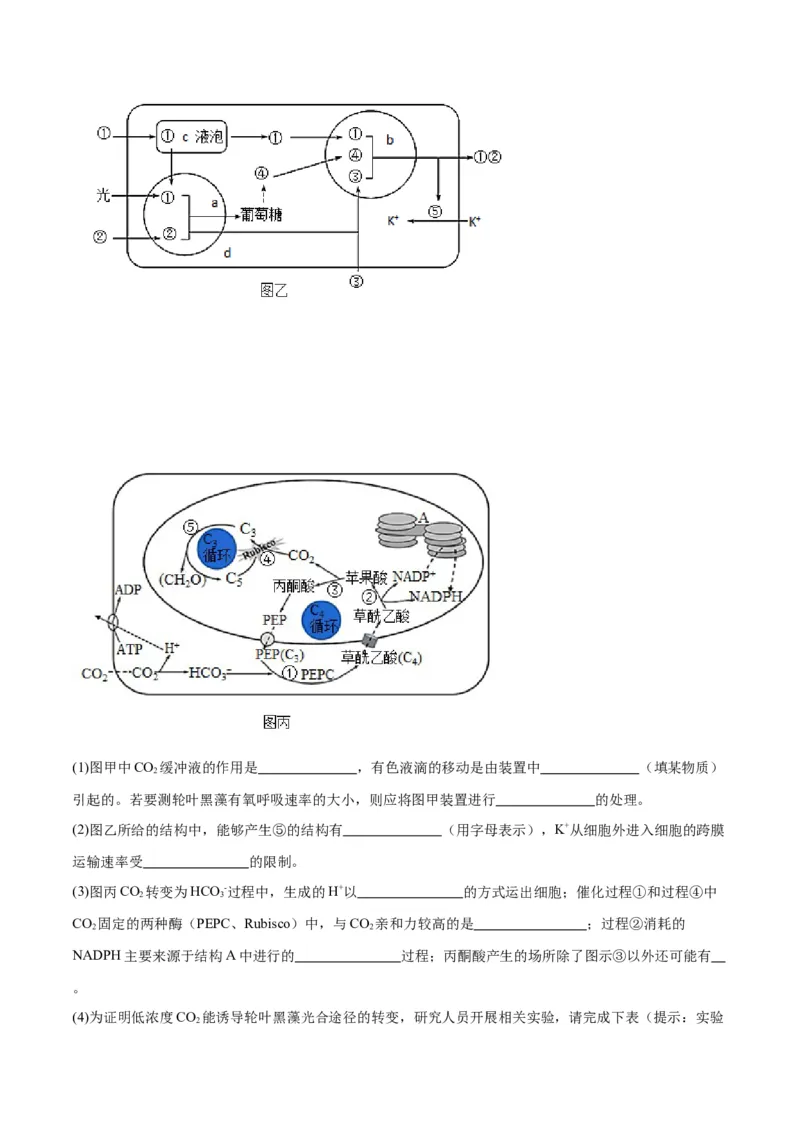 专题11细胞代谢综合分析（原卷版)_2024年新高考资料_3.2024专项复习_备战2024年高考生物一轮复习重难点专项突破_专题11细胞代谢综合分析