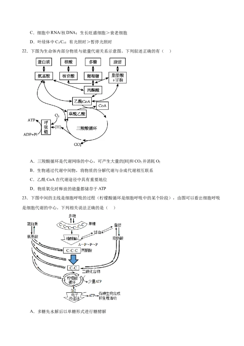 专题11细胞代谢综合分析（原卷版)_2024年新高考资料_3.2024专项复习_备战2024年高考生物一轮复习重难点专项突破_专题11细胞代谢综合分析