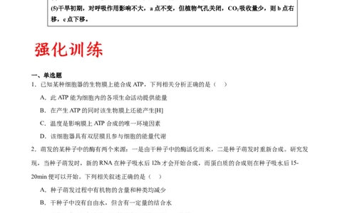 专题11细胞代谢综合分析（原卷版)_2024年新高考资料_3.2024专项复习_备战2024年高考生物一轮复习重难点专项突破_专题11细胞代谢综合分析