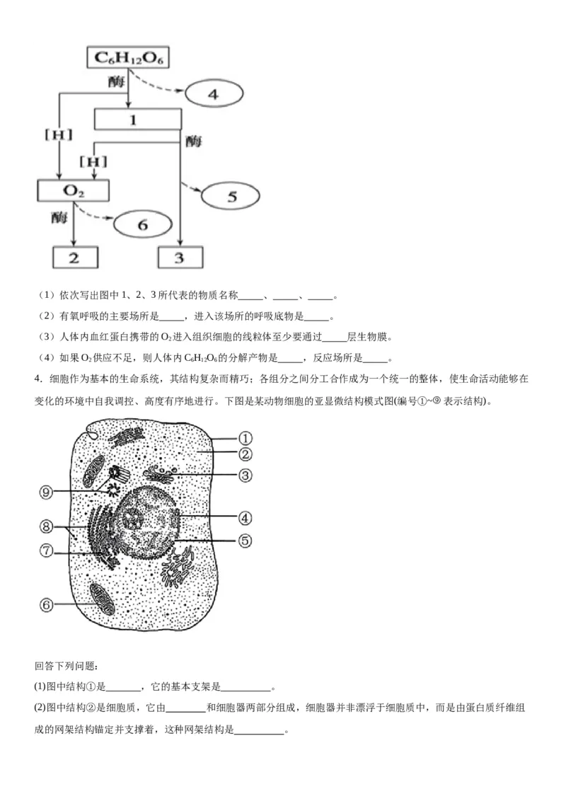 专题一分子与细胞（综合题特训）-2024年高考生物二轮复习专题训练（全国通用）（原卷版）_2024年新高考资料_2.2024二轮复习_2024年高考生物二轮复习专题训练（全国通用）