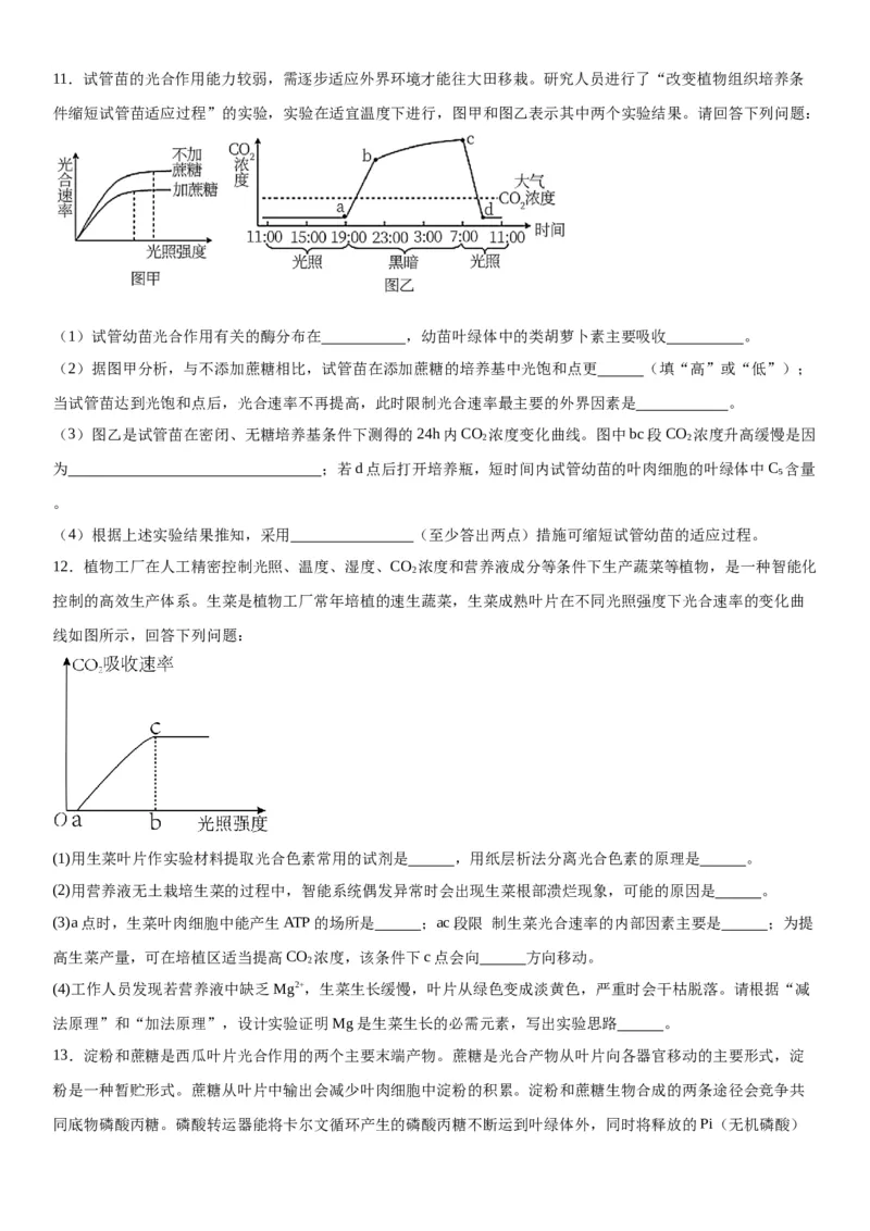 专题一分子与细胞（综合题特训）-2024年高考生物二轮复习专题训练（全国通用）（原卷版）_2024年新高考资料_2.2024二轮复习_2024年高考生物二轮复习专题训练（全国通用）