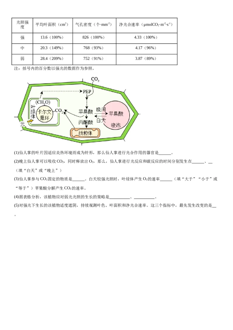 专题一分子与细胞（综合题特训）-2024年高考生物二轮复习专题训练（全国通用）（原卷版）_2024年新高考资料_2.2024二轮复习_2024年高考生物二轮复习专题训练（全国通用）