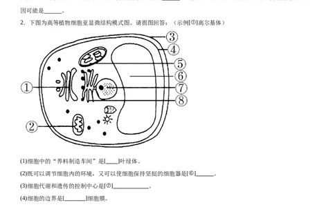 专题一分子与细胞（综合题特训）-2024年高考生物二轮复习专题训练（全国通用）（原卷版）_2024年新高考资料_2.2024二轮复习_2024年高考生物二轮复习专题训练（全国通用）