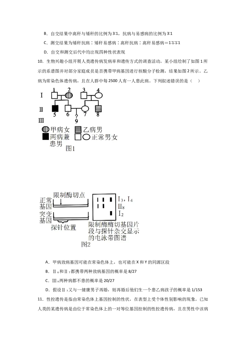 单元检测卷05基因的传递规律（原卷版）_2024年新高考资料_1.2024一轮复习_2024年高考生物一轮复习考点通关卷（新高考通用）