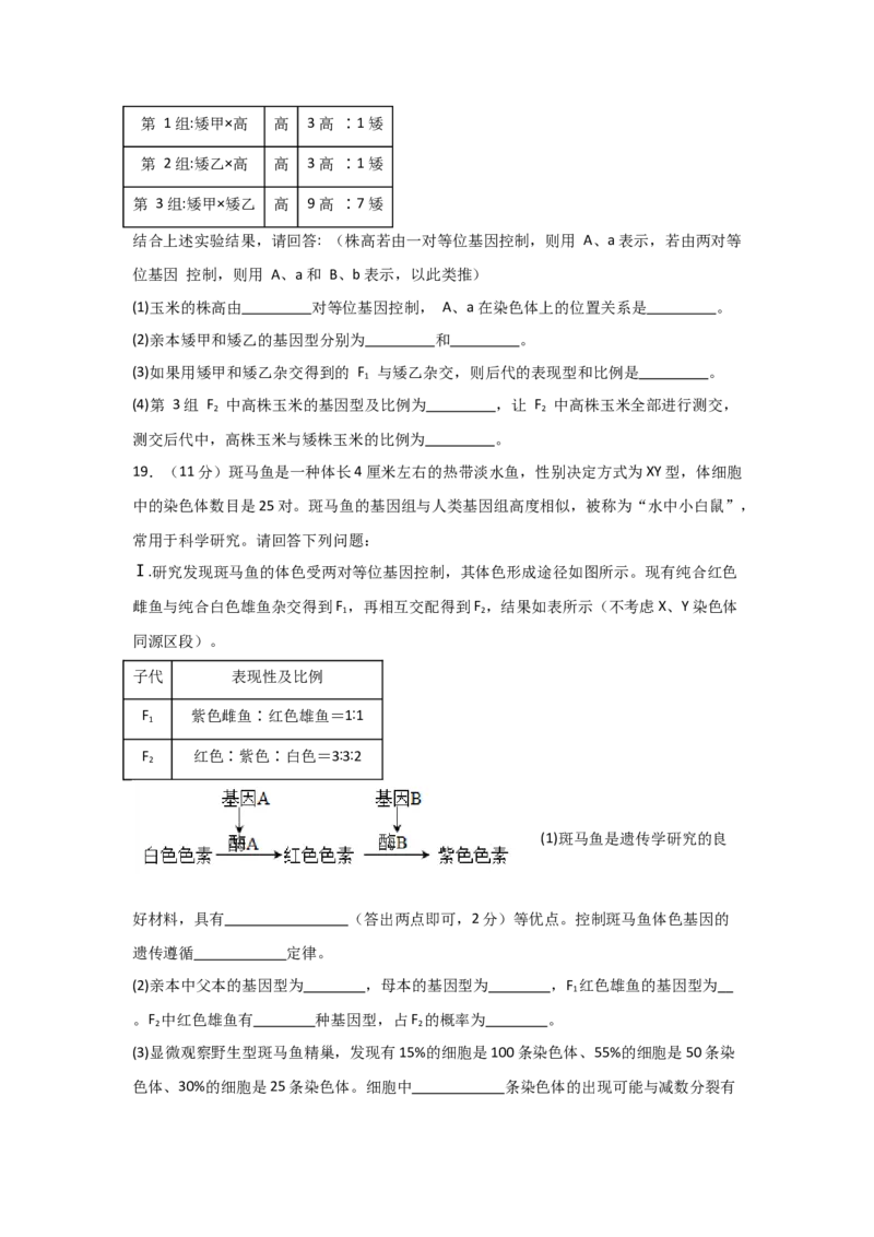 单元检测卷05基因的传递规律（原卷版）_2024年新高考资料_1.2024一轮复习_2024年高考生物一轮复习考点通关卷（新高考通用）