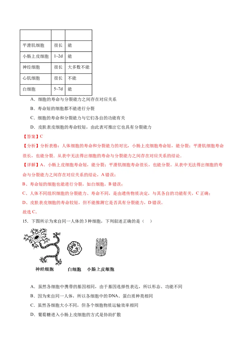 专题14细胞分化、衰老、凋亡和癌变（解析版)_2024年新高考资料_3.2024专项复习_备战2024年高考生物一轮复习重难点专项突破_专题14细胞分化、衰老、凋亡和癌变