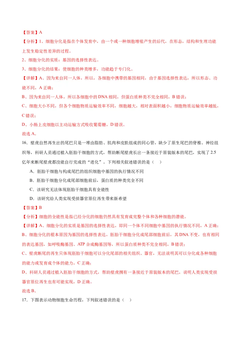 专题14细胞分化、衰老、凋亡和癌变（解析版)_2024年新高考资料_3.2024专项复习_备战2024年高考生物一轮复习重难点专项突破_专题14细胞分化、衰老、凋亡和癌变