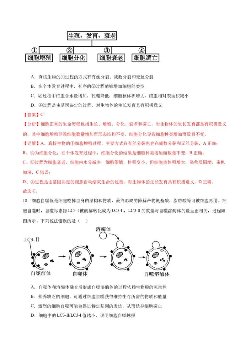 专题14细胞分化、衰老、凋亡和癌变（解析版)_2024年新高考资料_3.2024专项复习_备战2024年高考生物一轮复习重难点专项突破_专题14细胞分化、衰老、凋亡和癌变