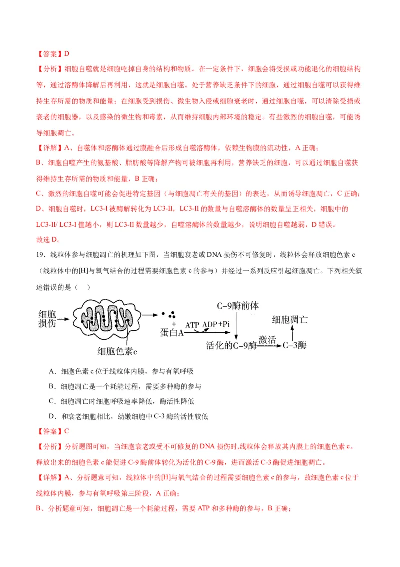 专题14细胞分化、衰老、凋亡和癌变（解析版)_2024年新高考资料_3.2024专项复习_备战2024年高考生物一轮复习重难点专项突破_专题14细胞分化、衰老、凋亡和癌变