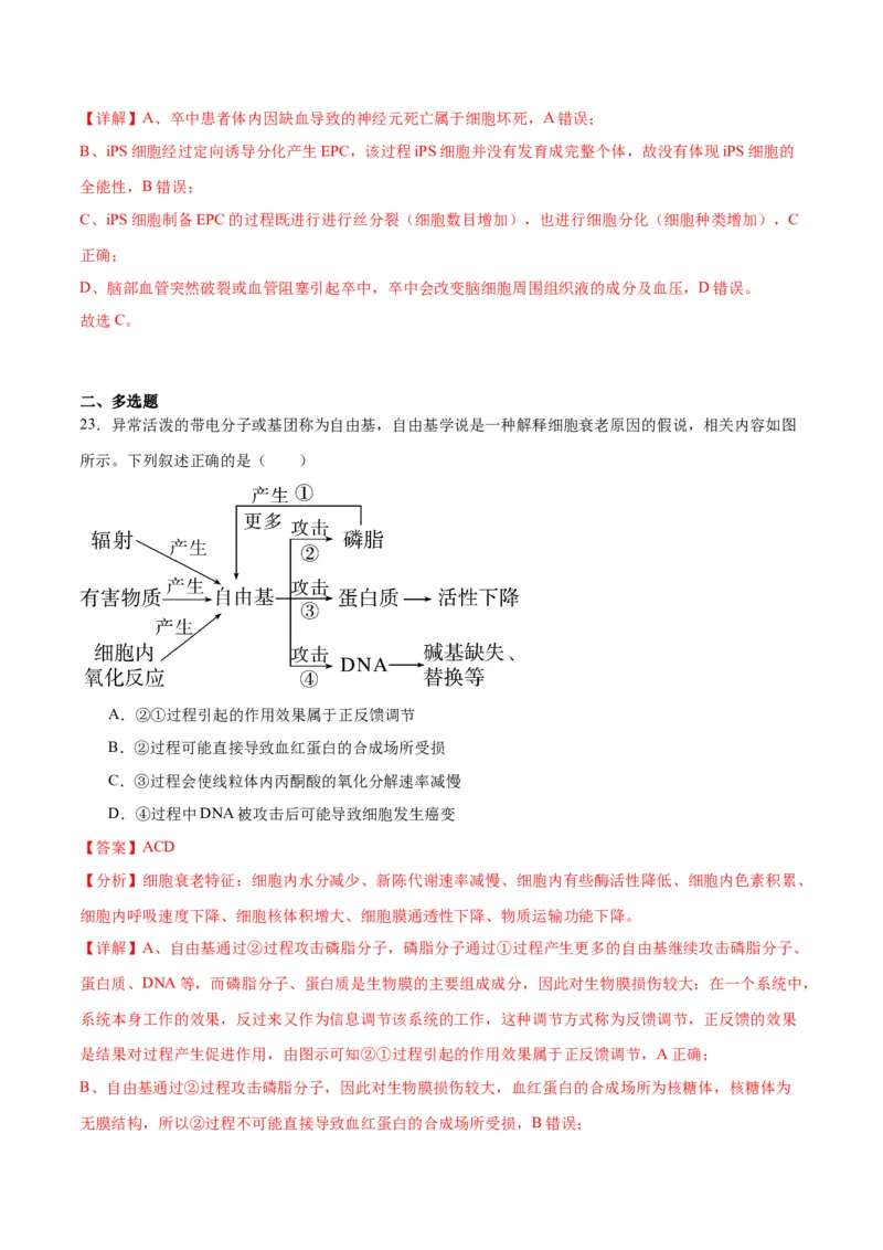 专题14细胞分化、衰老、凋亡和癌变（解析版)_2024年新高考资料_3.2024专项复习_备战2024年高考生物一轮复习重难点专项突破_专题14细胞分化、衰老、凋亡和癌变