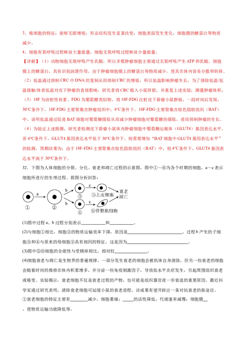 专题14细胞分化、衰老、凋亡和癌变（解析版)_2024年新高考资料_3.2024专项复习_备战2024年高考生物一轮复习重难点专项突破_专题14细胞分化、衰老、凋亡和癌变