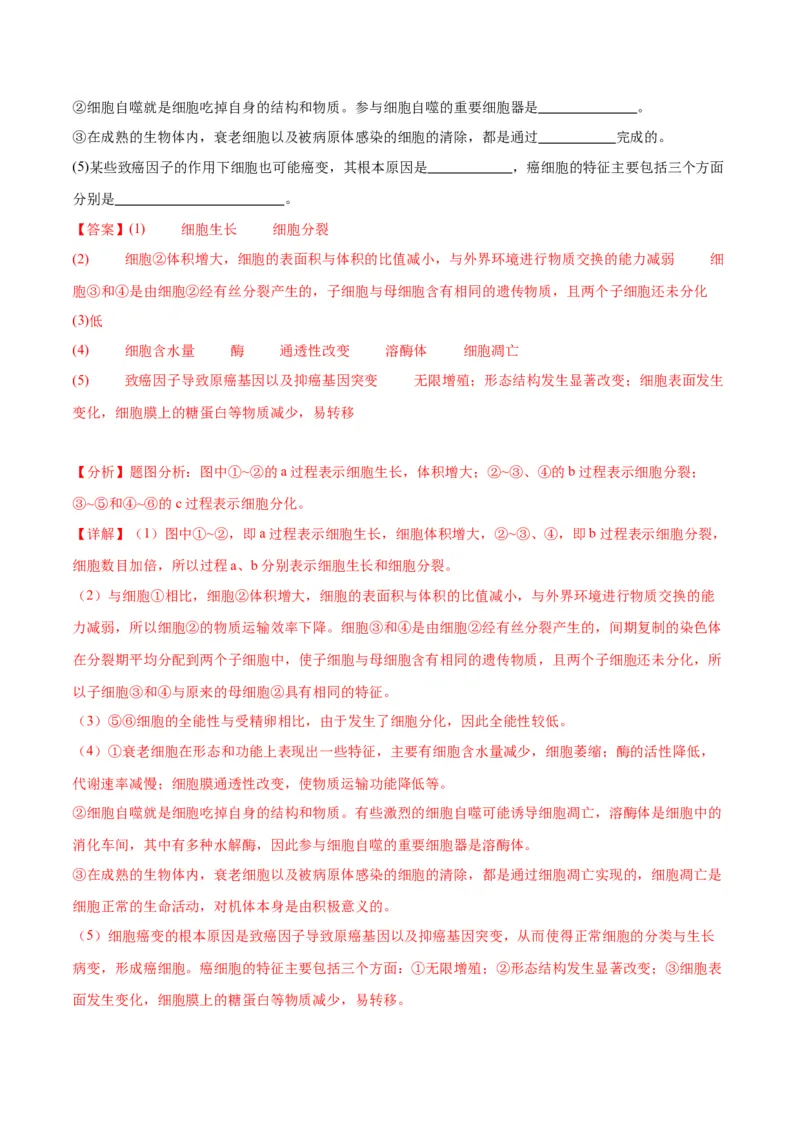 专题14细胞分化、衰老、凋亡和癌变（解析版)_2024年新高考资料_3.2024专项复习_备战2024年高考生物一轮复习重难点专项突破_专题14细胞分化、衰老、凋亡和癌变