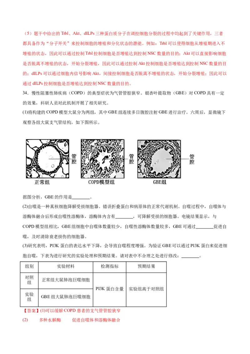 专题14细胞分化、衰老、凋亡和癌变（解析版)_2024年新高考资料_3.2024专项复习_备战2024年高考生物一轮复习重难点专项突破_专题14细胞分化、衰老、凋亡和癌变