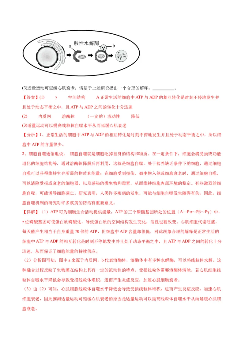 专题14细胞分化、衰老、凋亡和癌变（解析版)_2024年新高考资料_3.2024专项复习_备战2024年高考生物一轮复习重难点专项突破_专题14细胞分化、衰老、凋亡和癌变